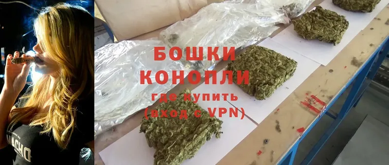 МЕГА   Семилуки  Бошки Шишки THC 21% 